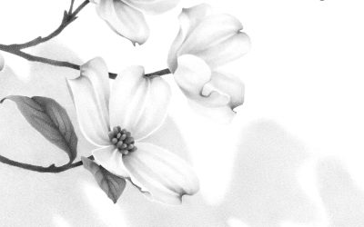 Award Nomination for “Kindling Hope: Daily Passages from Darkness into Light” by Zhen-Ru