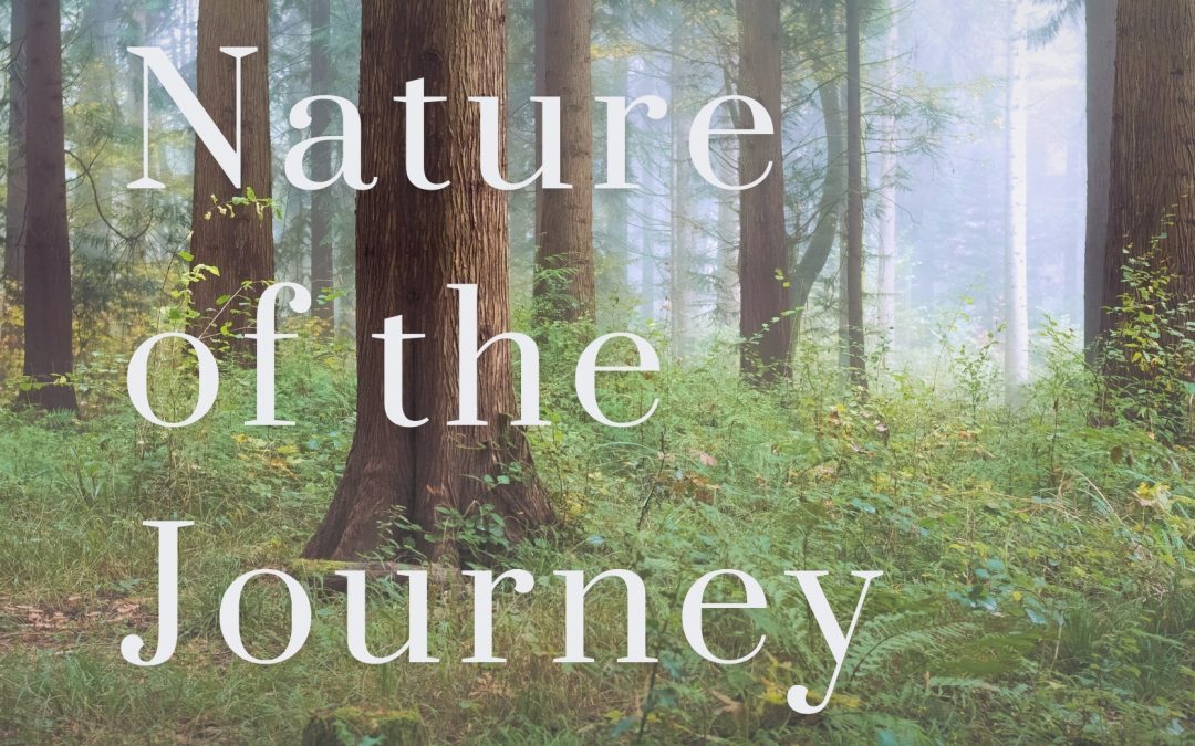 The Nature of the Journey