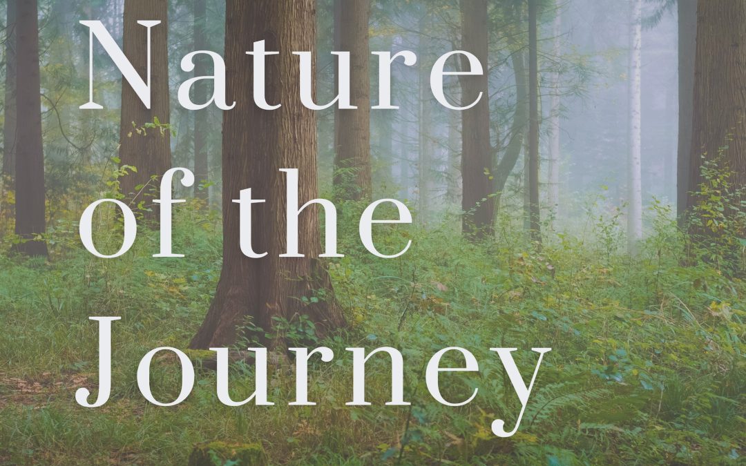 The Nature of the Journey