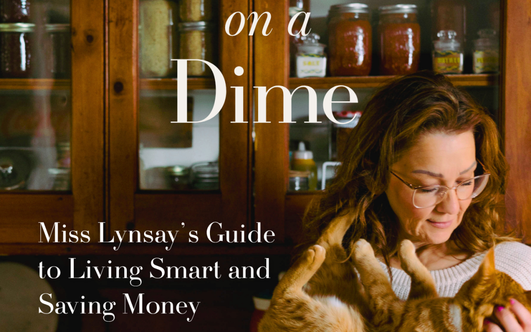 “Flourish on a Dime” Publishing Announcement & Cover Reveal 